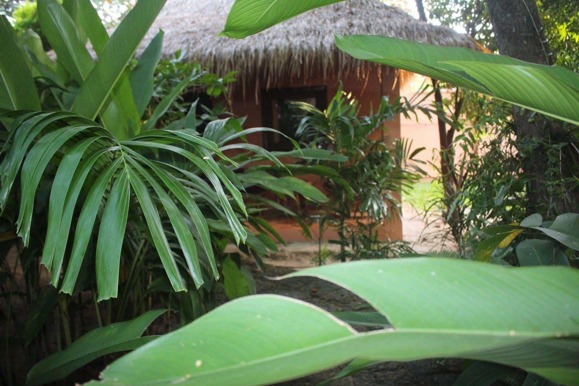 Botanica Hotell Kep Eksteriør bilde