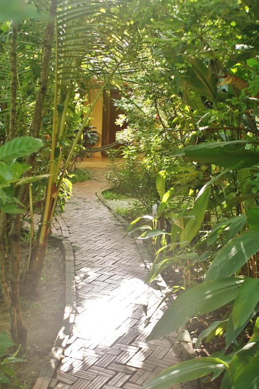 Botanica Hotell Kep Eksteriør bilde
