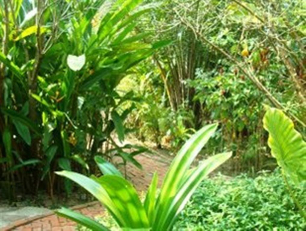 Botanica Hotell Kep Eksteriør bilde
